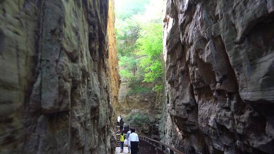 洛阳龙潭大峡谷旅游生态森林河流景点