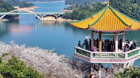 中国广东省广州市从化区广州流溪梅花节