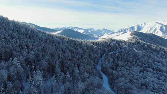 新疆冬季雪景原始森林航拍 新疆喀纳斯雪景