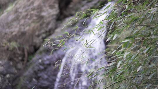 山泉小溪流水升格水流