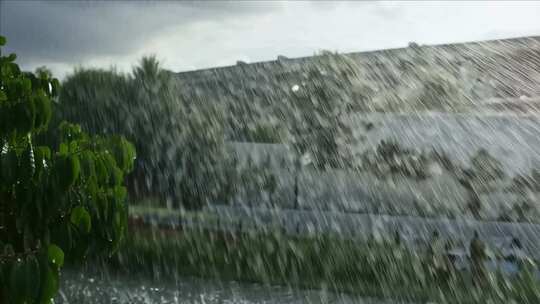 户外倾盆大雨及绿植景象