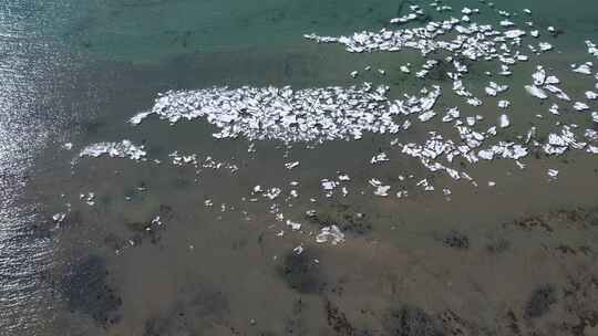 青海青海湖高空湖面结冰航拍4K视频