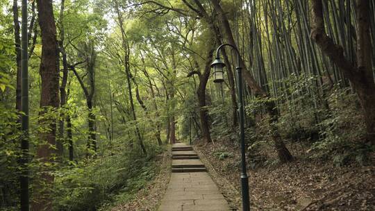 杭州西湖宝石山上的石板路