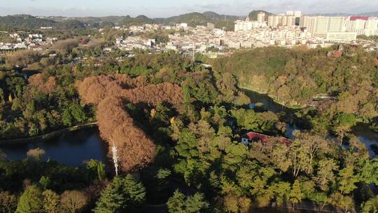 航拍城市风光交通建筑高楼大厦自然风光