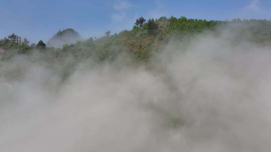 贵州平塘大桥平流雾航拍