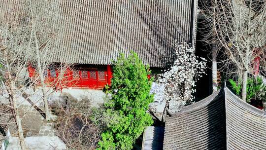 西安卧龙禅寺