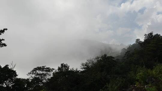 杭州临安西天目山的云雾