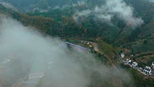 黄山毛峰茶园茶山茶文化航拍