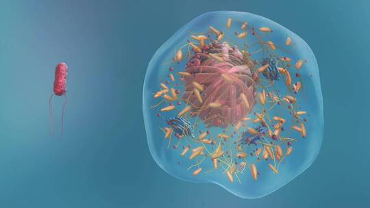 医学烟叶花叶病毒病毒病菌细胞形态展示动画