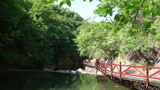 洛阳龙潭大峡谷旅游生态森林河流景点