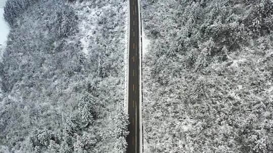 湖北利川冰雪世界里的马路与汽车