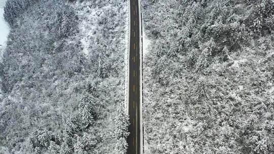 湖北利川冰雪世界里的马路与汽车视频素材模板下载