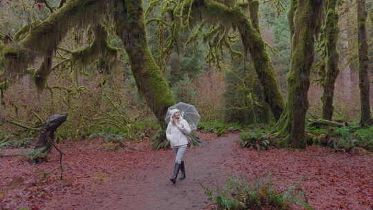 宁静的森林漫步苔藓树冠下的徒步旅行者