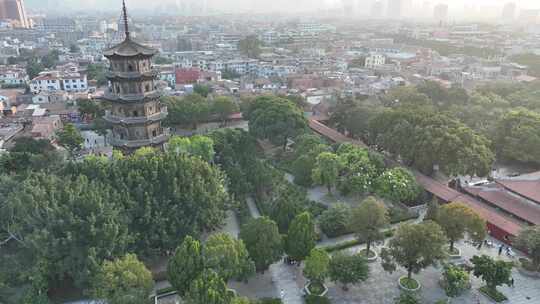 泉州开元寺上空鸽子飞鸟航拍寺庙一群鸟飞过