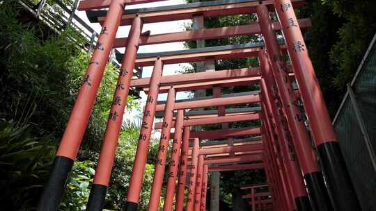 日本东京，日本神社，寺庙