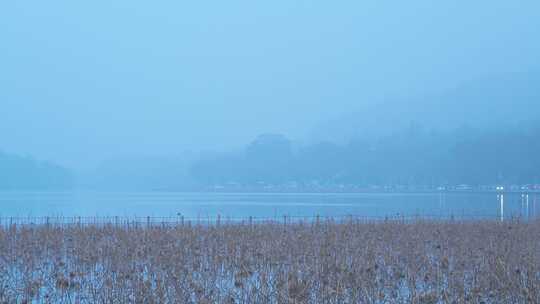 雾西湖风景