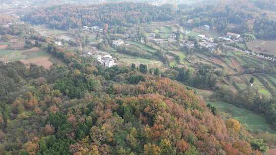 四川德阳罗江区附近山林秋色