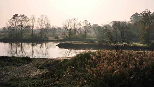 早晨阳光下桂林会仙湿地小河两岸的景色