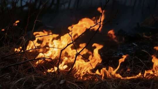 户外燃烧的火焰特写