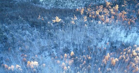 航拍大兴安岭冻土地带雪原雪林夕照