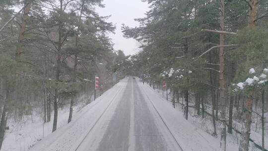 唯美冬季长白山原始森林红松公路穿越航拍