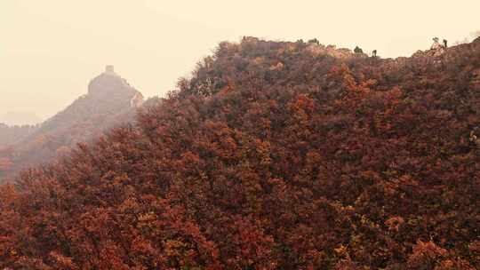 北京秋天司马台长城群山红叶大气航拍宣传片