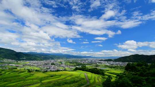 唯美初秋金色稻田风光