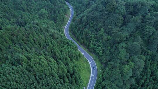 俯视山林蜿蜒公路蓝色行车