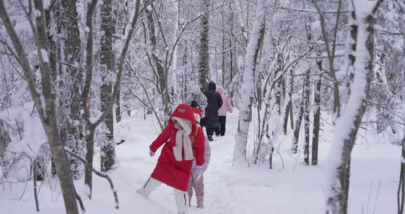 雪中树林行人漫步