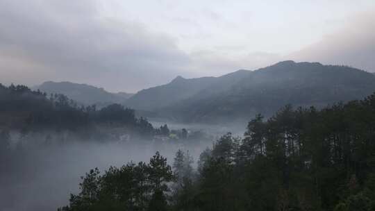 农村的早晨 浓雾村庄航拍