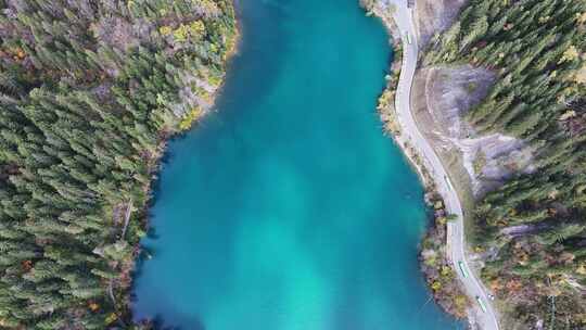 航拍九寨沟秋景彩林川西秋天原始森林五花海