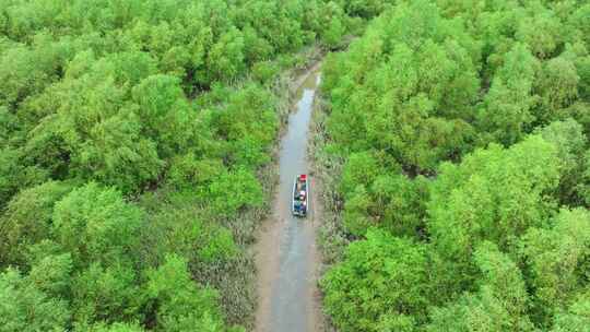 4k广东江门滨海新区银湖湾湿地红树林航拍