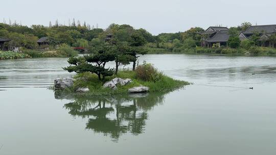 4k 扬州瘦西湖古典园林自然风景