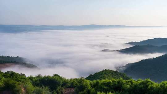 山间云海森林全景