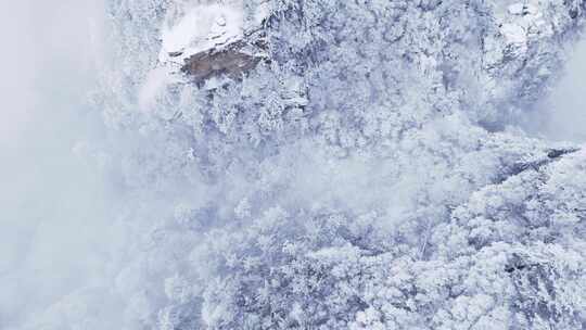 伏牛山冬季雪景云海雾凇