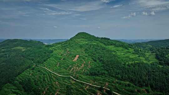 农村公路山区公路0206