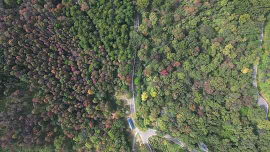 航拍南京浦口老山森林公园秋季风光