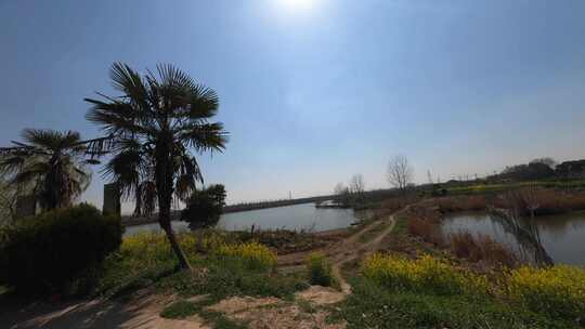 穿越机航拍扬州北湖湿地公园内部大全景