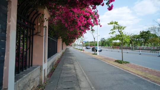 南宁青环路邕江岸边绿道自行车道跑道