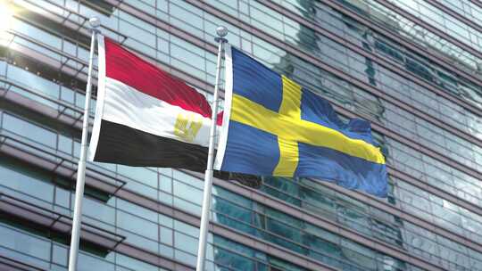 埃及国旗vs瑞典国旗