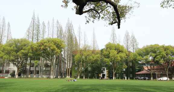 春天大学校园 东吴大学苏州大学