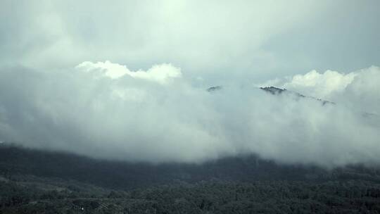 高山和森林上方的云雾视频素材模板下载