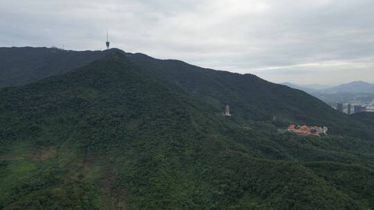 梧桐山，梧桐山河