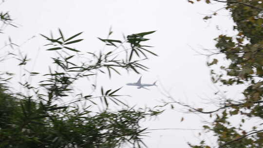 浦东国际机场起飞的飞机