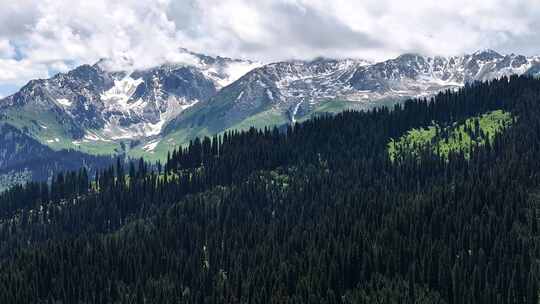 新疆恰西唯美震撼森林雪山航拍3