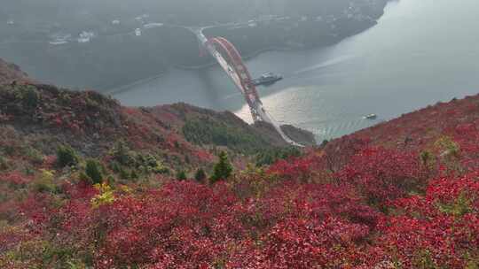 长江三峡巫峡红叶