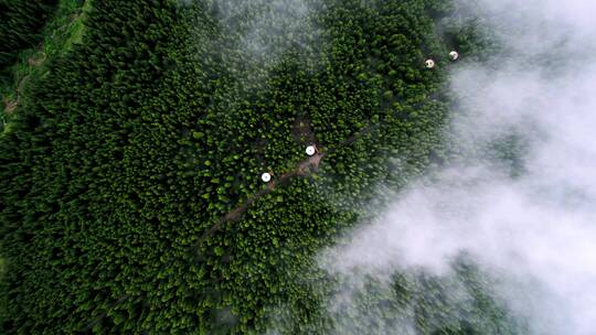 秦岭高空云端迷雾穿透俯瞰山川森林视频素材模板下载