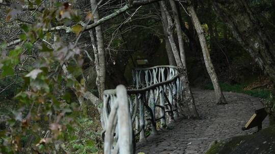 天台山石梁飞瀑石头山路