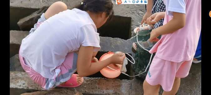 海边捉蟹(青岛）视频素材模板下载