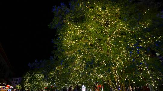 桂林阳朔西街夜景树上的霓虹灯饰